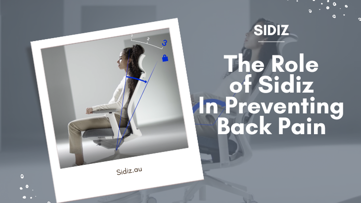 The Role of Sidiz Chairs in Preventing Back Pain