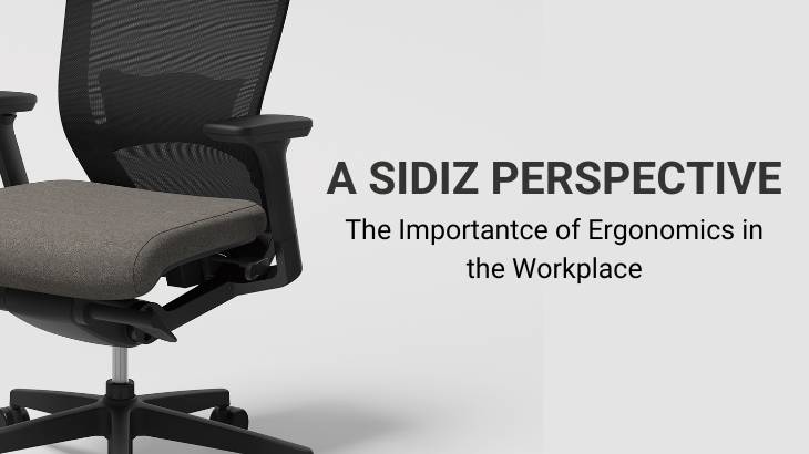 The Importance of Ergonomics in the Workplace: A Sidiz Perspective