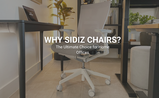 Why Sidiz Chairs Are the Ultimate Choice for Home Offices