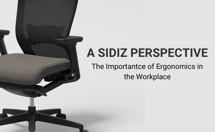 The Importance of Ergonomics in the Workplace: A Sidiz Perspective