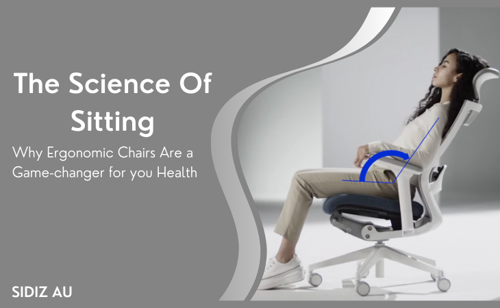 The Science of Sitting: Why Ergonomic Chairs Are a Game-Changer for Your Health