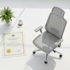 ANSI/BIFMA vs AFRDI: Office Chair Certifications Explained for Australian Buyers