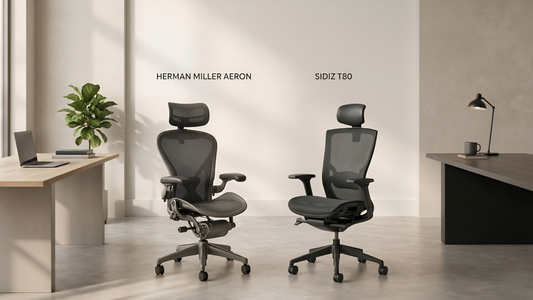 herman miller and sidiz t80