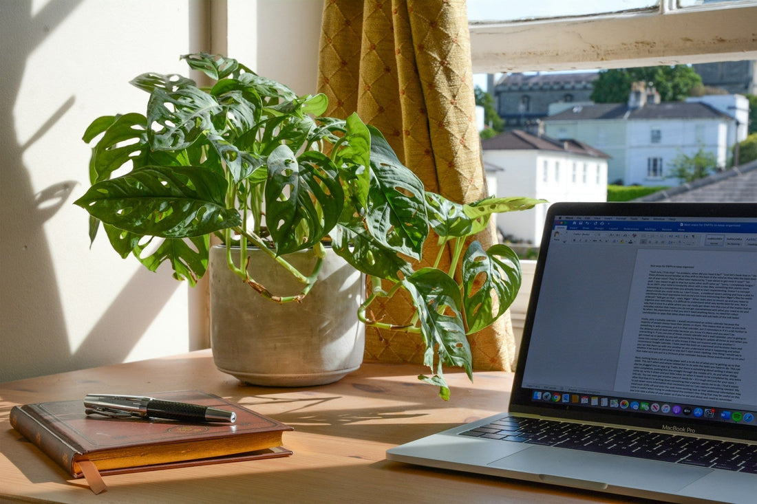 Bright home workspace with natural light, greenery, and laptop setup designed to improve focus work life balance daily.