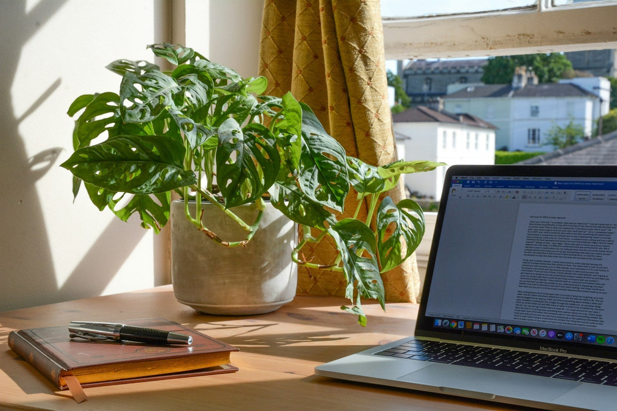 Bright home workspace with natural light, greenery, and laptop setup designed to improve focus work life balance daily.