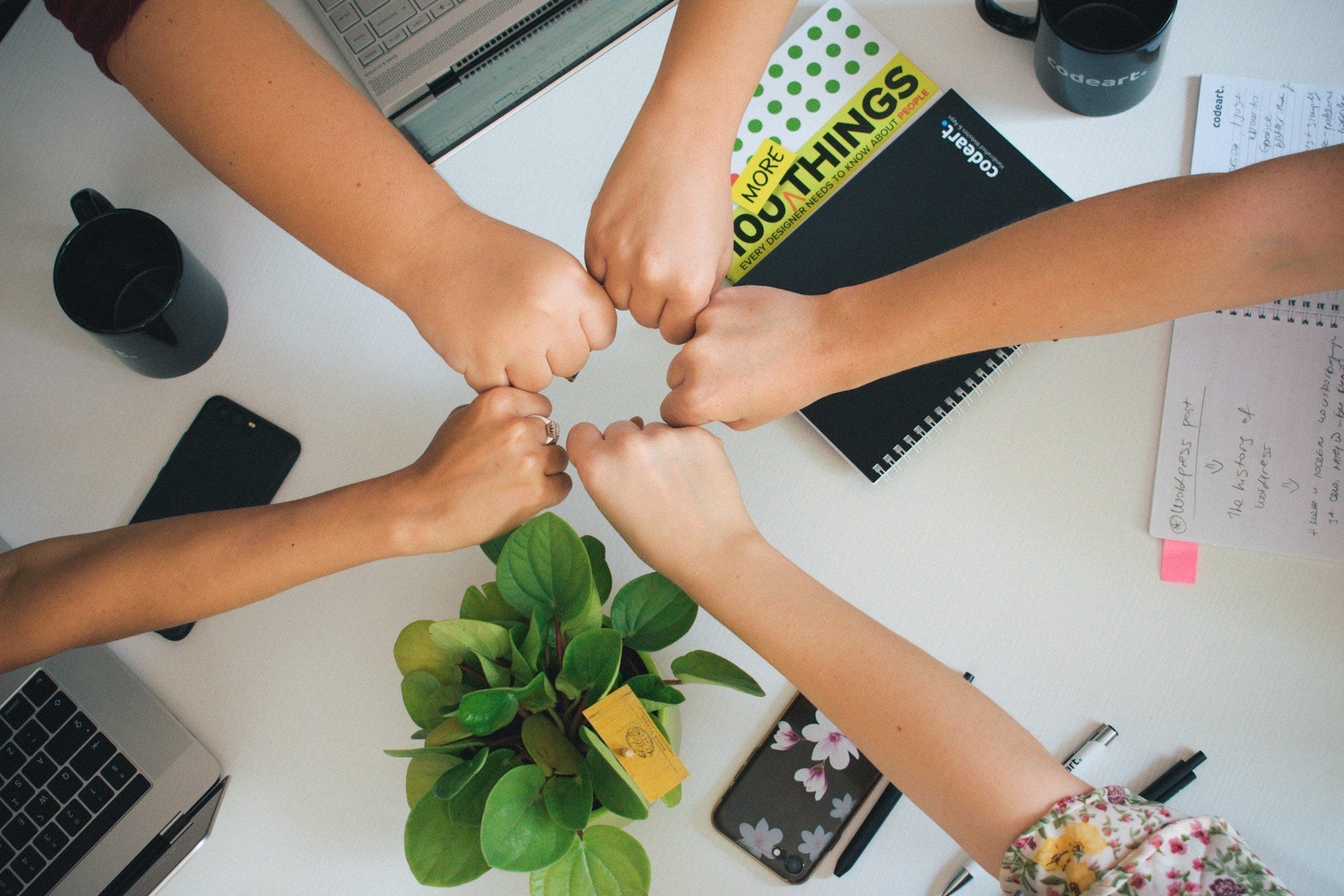 Work team success shown by group fist bump over desk with notebooks, laptop, and plant symbolising unity and collaboration. Image by Antonio Janeski via www.unsplash.com