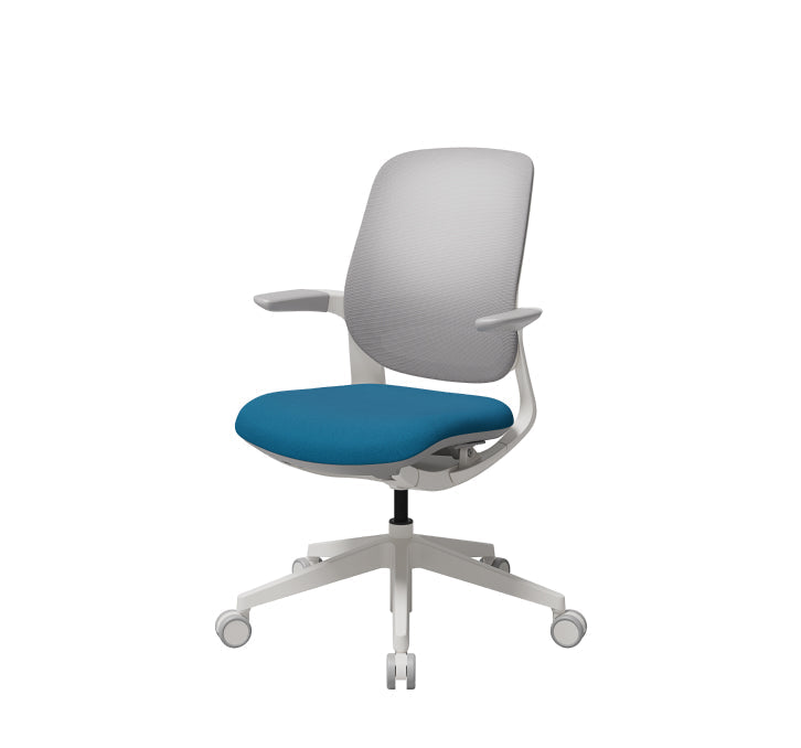 T25 Small Ergonomic Office Chair (White Mesh Back, Gray Seat)
