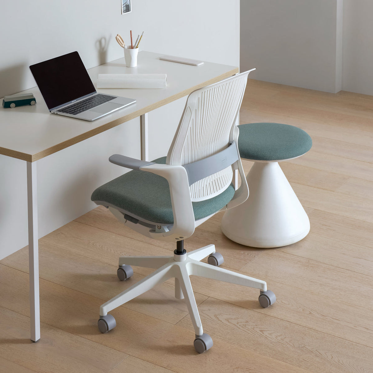 FUNGUS used as a versatile companion in the study or office