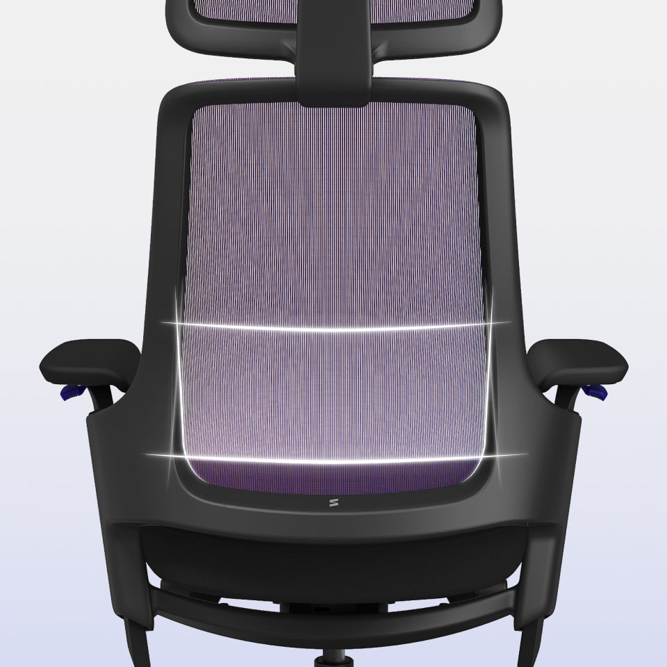 Renewed GX lumbar-support mesh