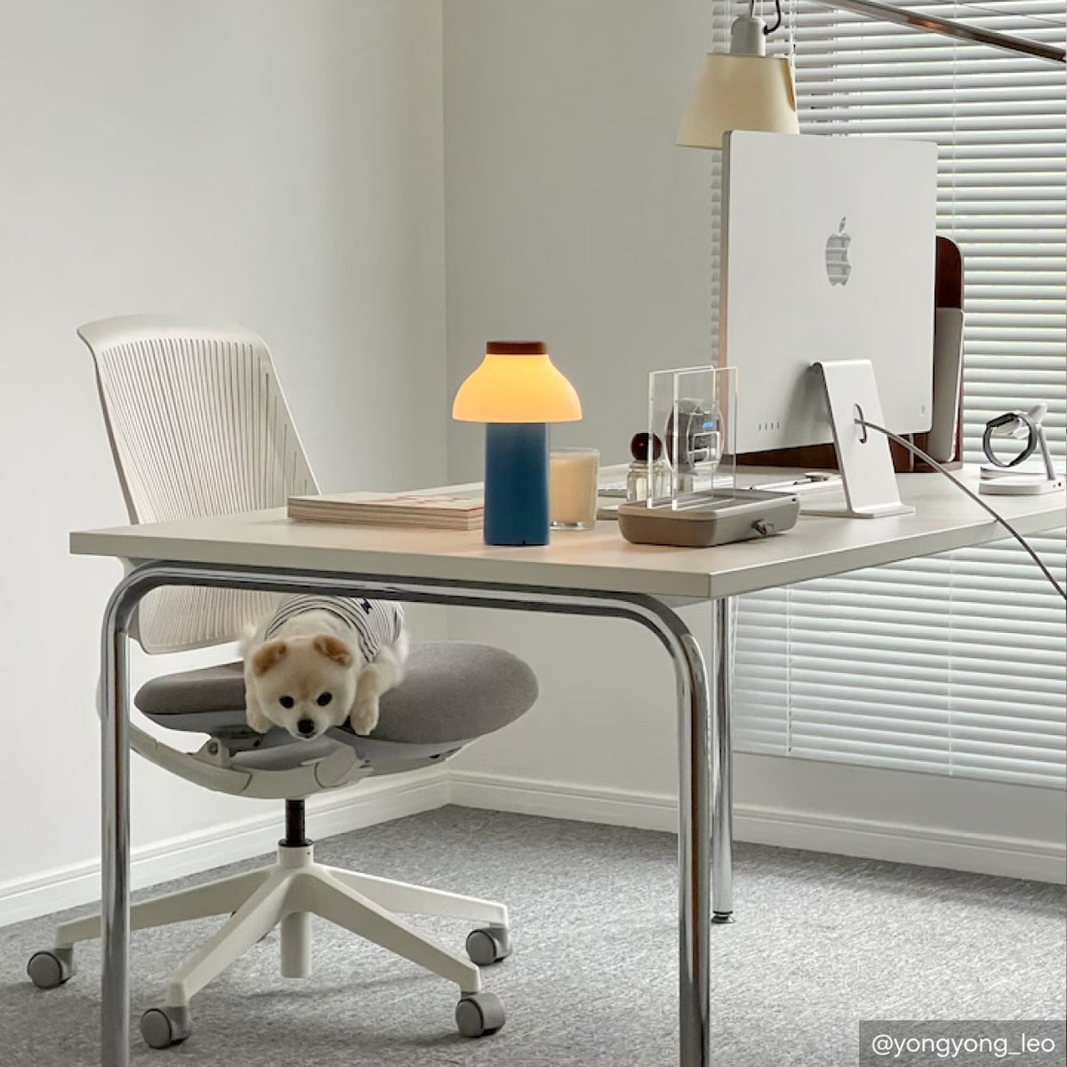 LINIE in a home office