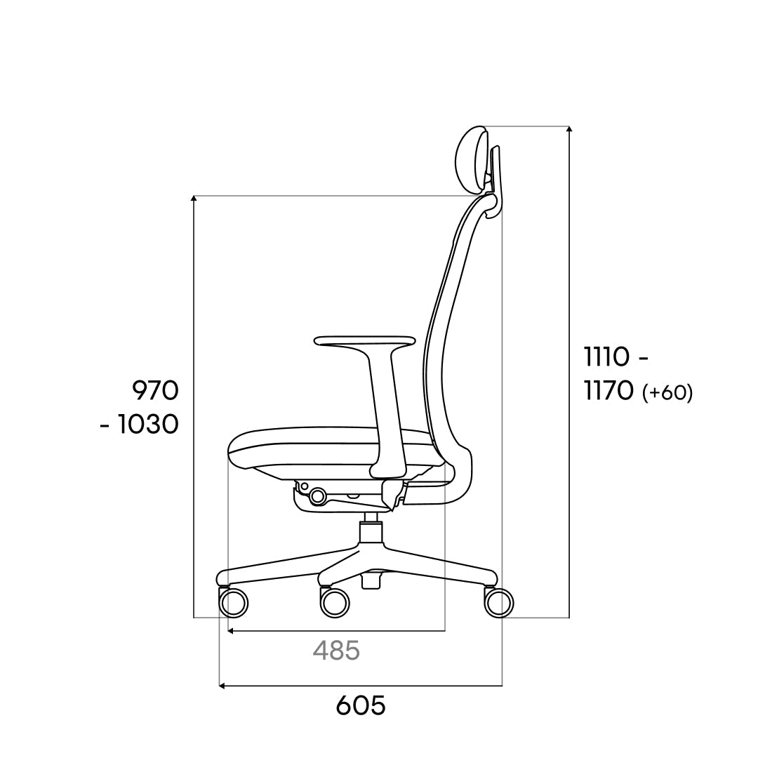 Side dimensions of T20